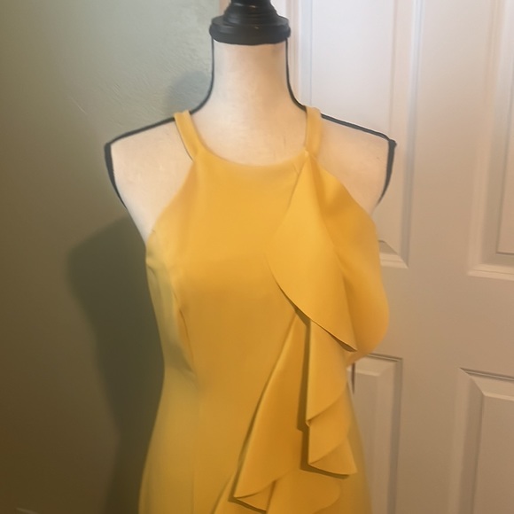 Gorgeous Designer Dress - Picture 2 of 5